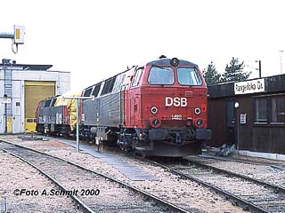 DSB MZ