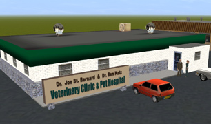 Veterinary Clinic DES