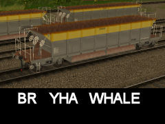 BR YHA Whale vacchietti