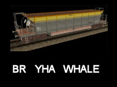 Body Textures for Comsa Whale