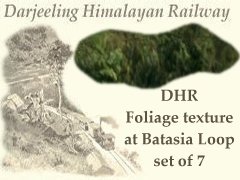 DHR-Foliage-Batasia-loop-5