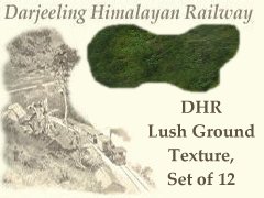 DHR-Lush-Ground-9