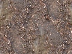 PBR Dirt Mud 1