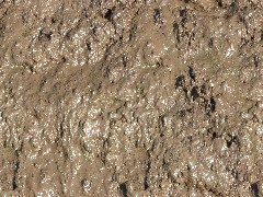 PBR Dirt Mud 2