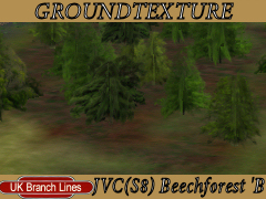 JVC(S8) Beechforest2